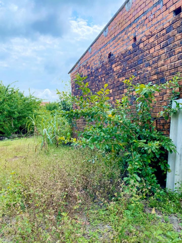 Đất Nền Trung Tâm La Hà, Tư Nghĩa - 100m² - Giá Tốt