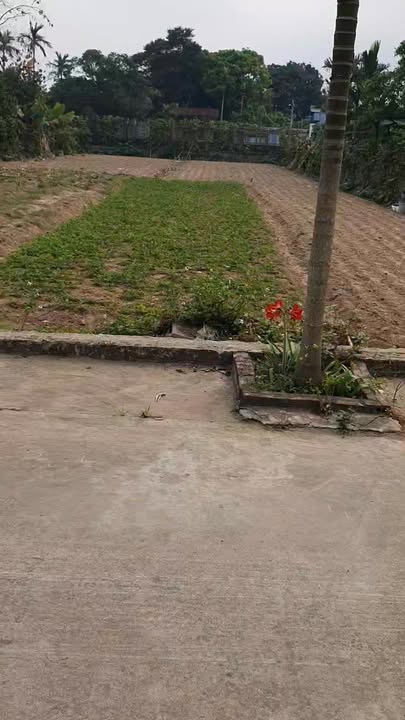 Đất nền Khánh Mậu Yên Khánh 423m² giá 1 tỷ - Sổ đỏ chính chủ