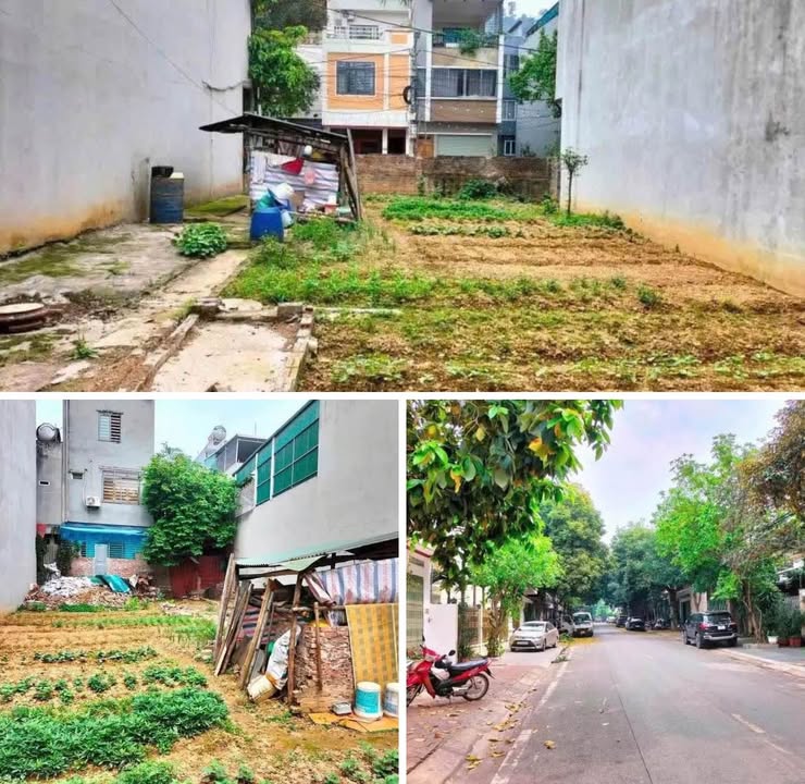 Bán Gấp 2 Lô Đất Vàng Phố Đô Đốc Lộc, Lào Cai - 220m² Giá Tốt