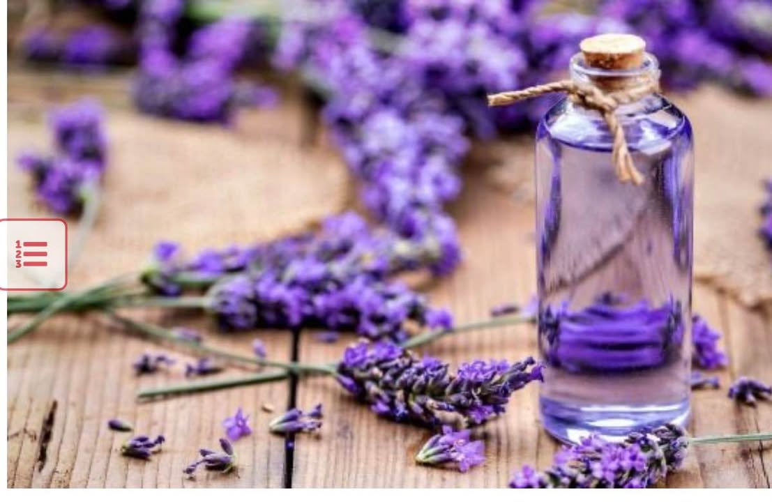 Đất thổ cư 500m² Thanh Hải, Phan Thiết - Kinh doanh Homestay, Sổ đỏ sẵn sàng