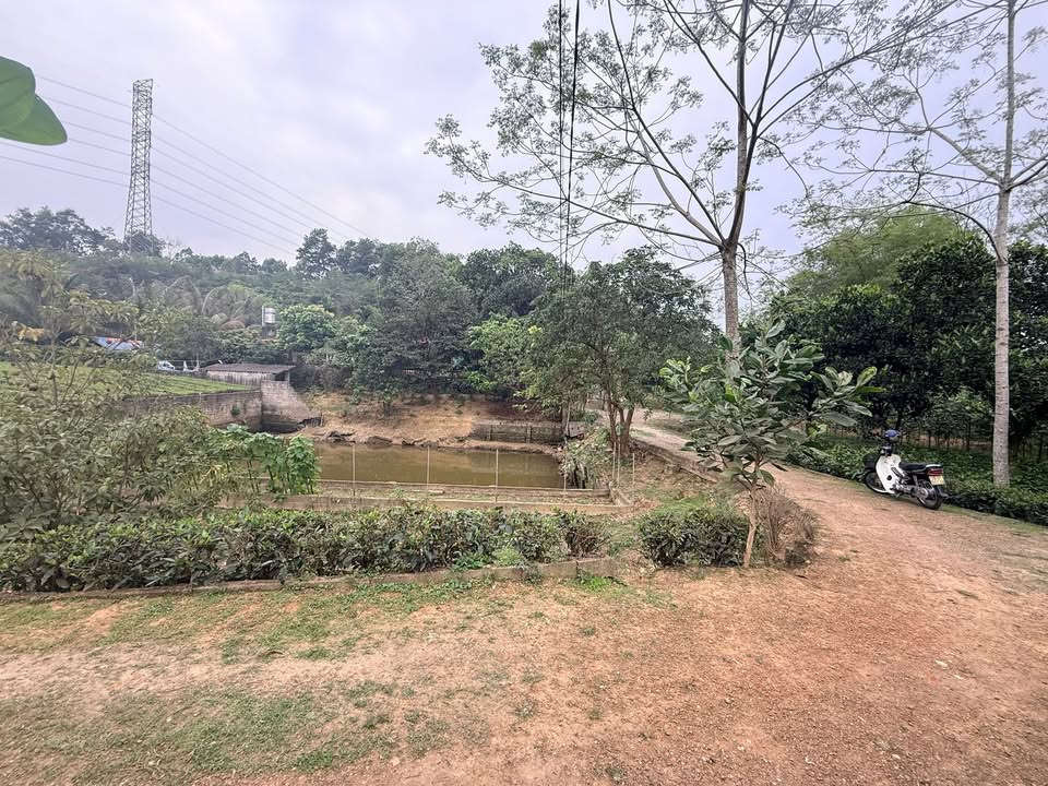 Bán Gấp Trang Trại 7000m² View Sông, Thái Nguyên - Giá Tốt