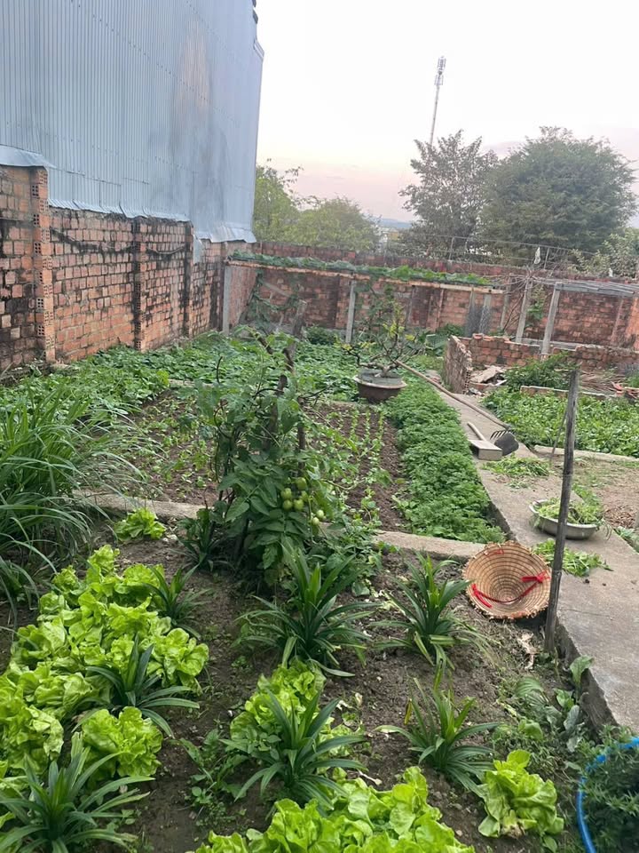 Đất hẻm Trần Văn Hai Kon Tum 135m² 6xx - Sổ đỏ chính chủ