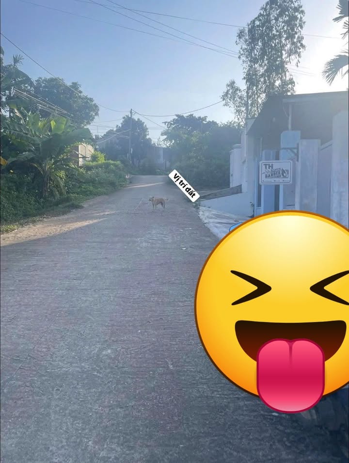 Đất nền Kon Tum Trần Nhân Tông 150m² 1,0 tỷ - Đường to ô tô