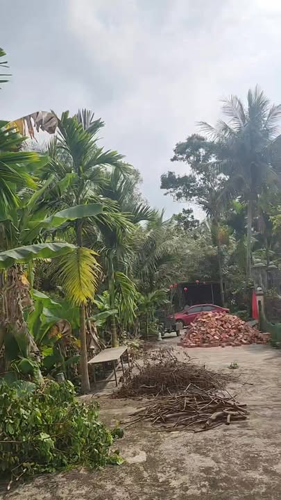 Đất nền Hòa Phong Hòa Vang 120m² - Sổ đỏ chính chủ