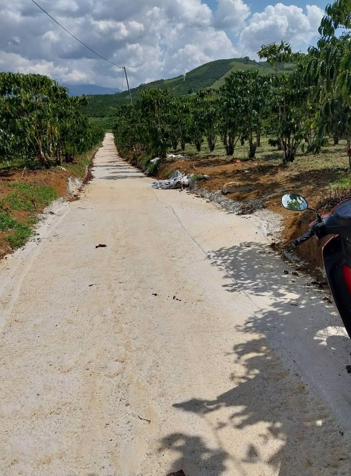 Đất Vườn Lạc Dương 2412m² - Giá Đầu Tư 3.68 Tỷ