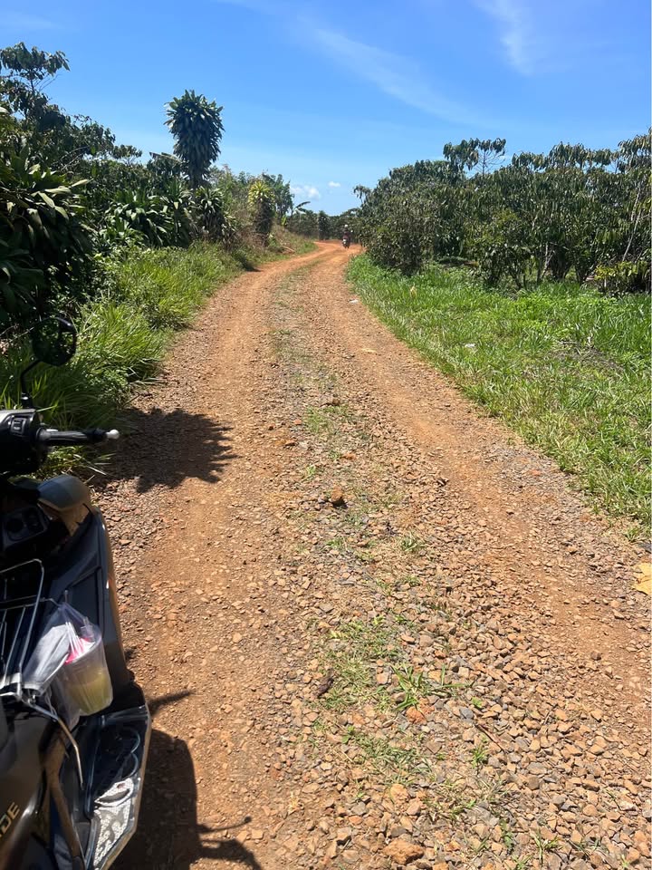 Bán Đất Vườn 3024m² Lộc Ngãi, Bảo Lâm - 2.77 Tỷ, Mặt Tiền Đường 50m