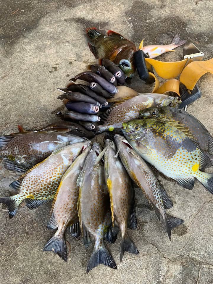 Nhà nguyên căn Phan Bội Châu Quy Nhơn 175m² 50 triệu - Ô tô vào nhà