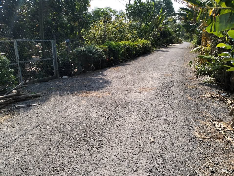 Đất nền Hòa Tân, Châu Thành 155m² - Đất thổ cư 100%