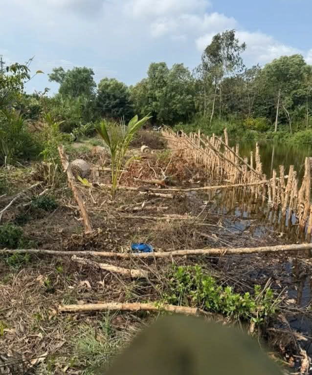 Bán Nền Cà Mau 345m² - Lộ 2.5m, Gần Trường Lương Thế Vinh