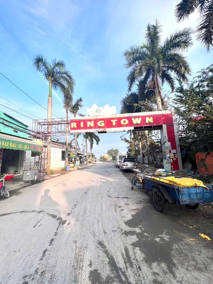 Đất nền Toàn Gia Thịnh Đức Hòa 125m² 1.6 tỷ - Sổ đỏ