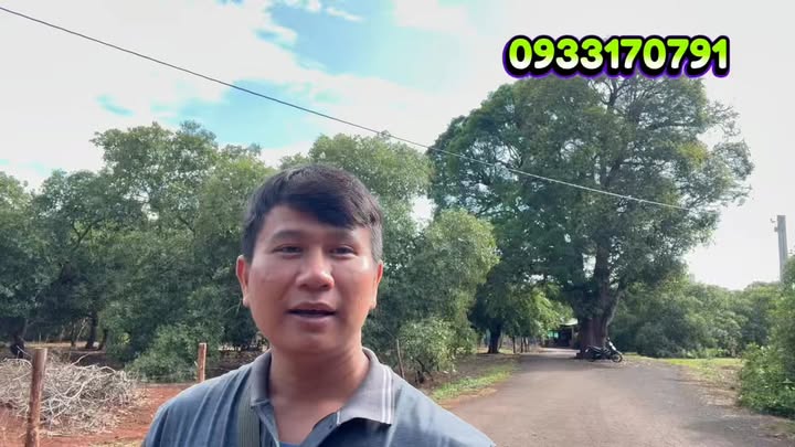 Bán Gấp Farm 1ha Cao Su 1.5 Tỷ - Ấp Bù Tam, Phú Giáo