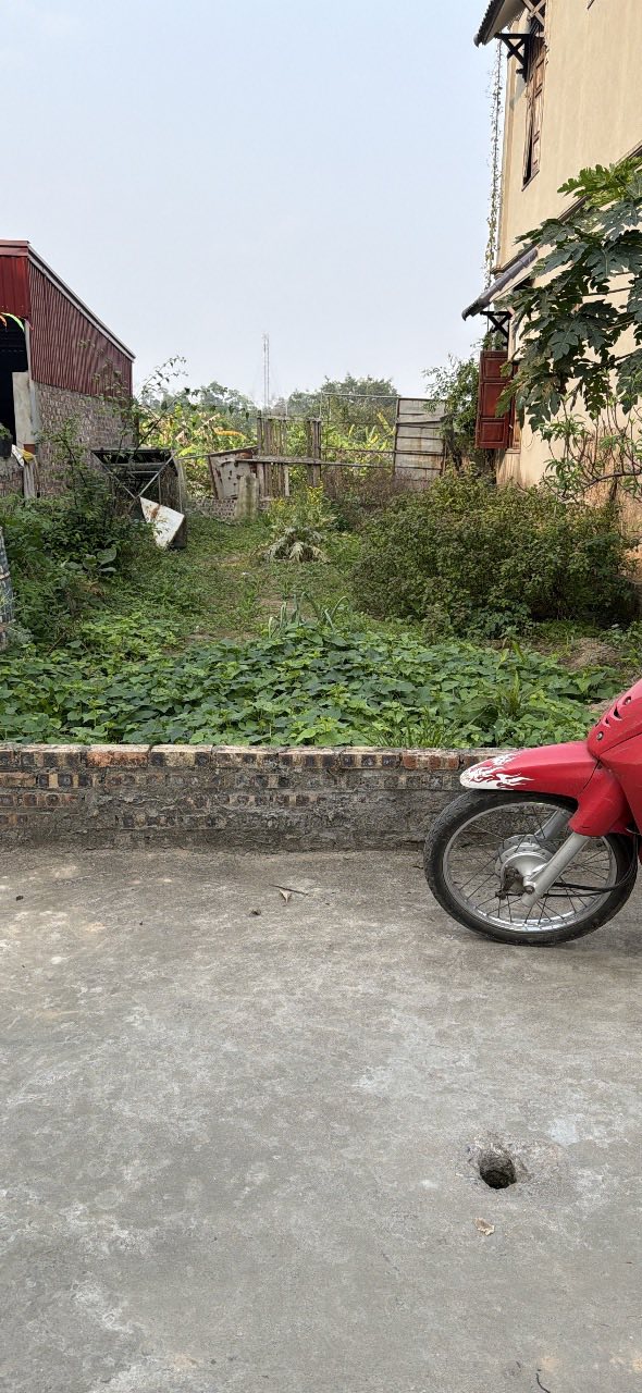 Bán đất 65m² Phường Xuân Lâm, Thuận Thành, Bắc Ninh - Sổ đỏ sẵn, ô tô vào nhà