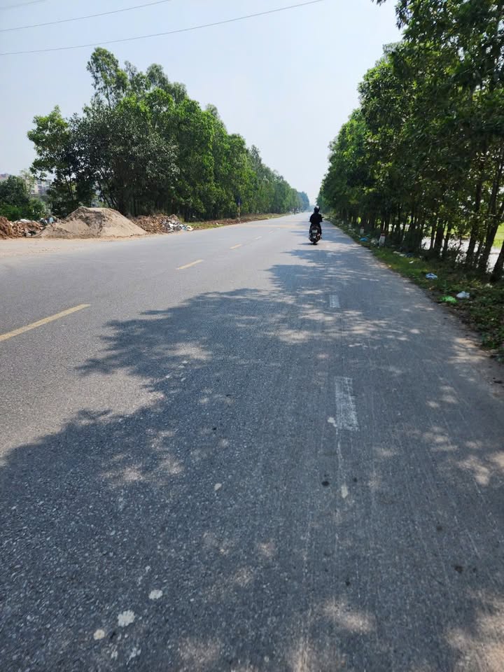 Bán Đất Mặt Tiền Tỉnh Lộ 286 Yên Phong, Bắc Ninh - 75m² Kinh Doanh Sầm Uất