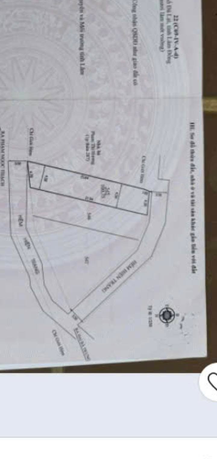 Đất Phạm Ngọc Thạch Đà Lạt 100m² 7,5 tỷ - Sổ hồng chính chủ