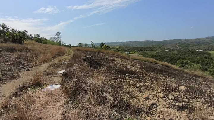 Bán Đất Vườn 20.000m² Đan Phượng, Lâm Hà - Tiềm Năng Nông Nghiệp & Nghỉ Dưỡng