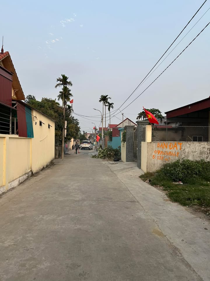 Đất nền Tam Cường Vĩnh Bảo 188m²/1.8 tỷ - Đường ô tô