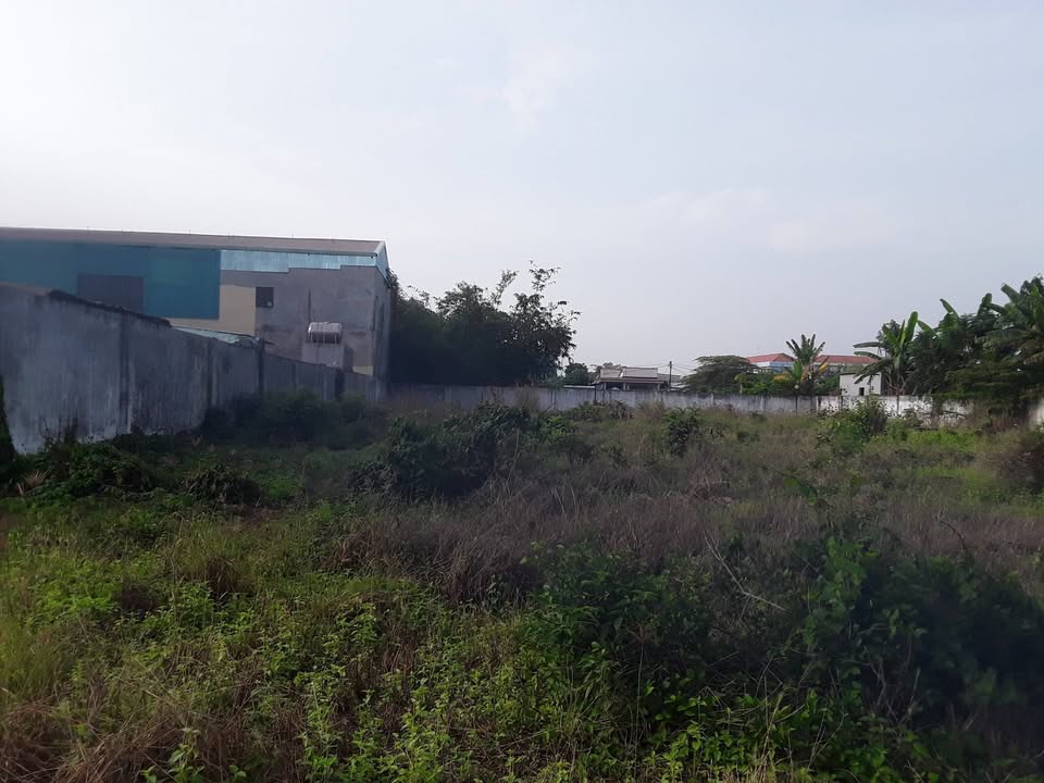 Đất vườn Củ Chi 1.580m² 3,65 tỷ - Đầu tư dài hạn