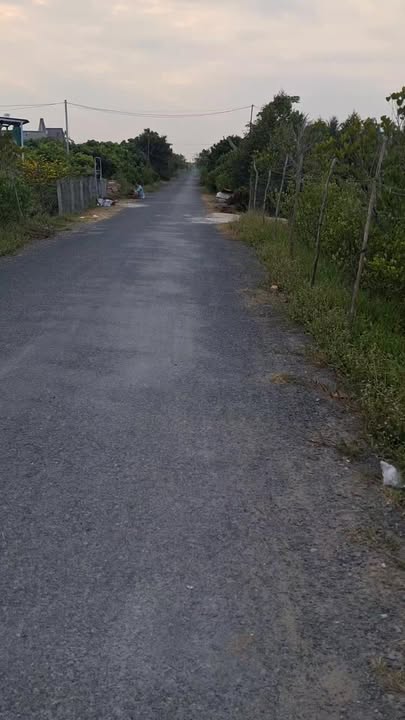 Bán Đất Vườn 1100m² Phường Long Hòa, Cần Thơ - Sẵn Vườn Nhãn, Ô tô Tới Đất