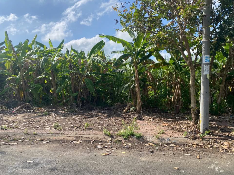 Đất Nền Phong Điền Cần Thơ 80m² - Vị Trí Đắc Địa, Giá 1.08 Tỷ