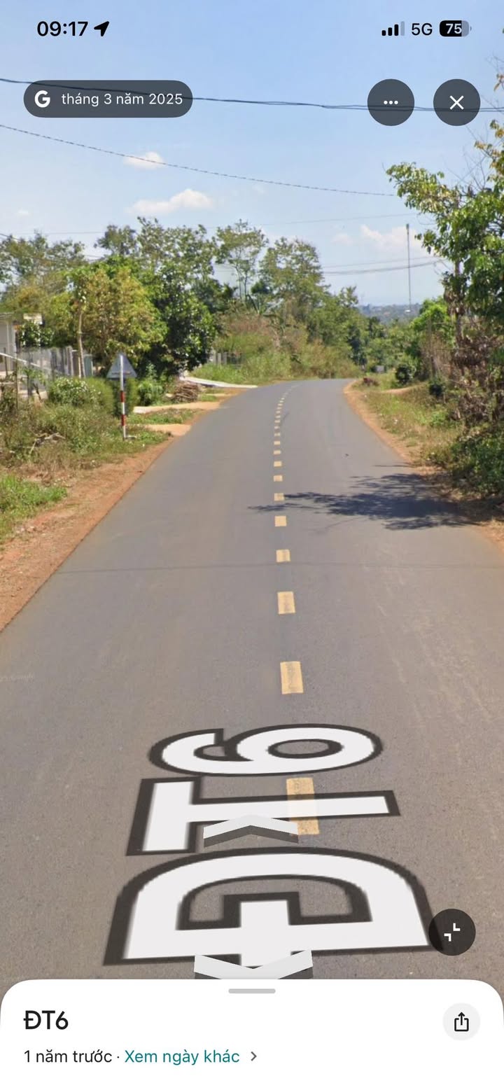 Đất nền TL8 Buôn Đôn 1.2ha giá 25 tỷ - Tiềm năng tăng giá