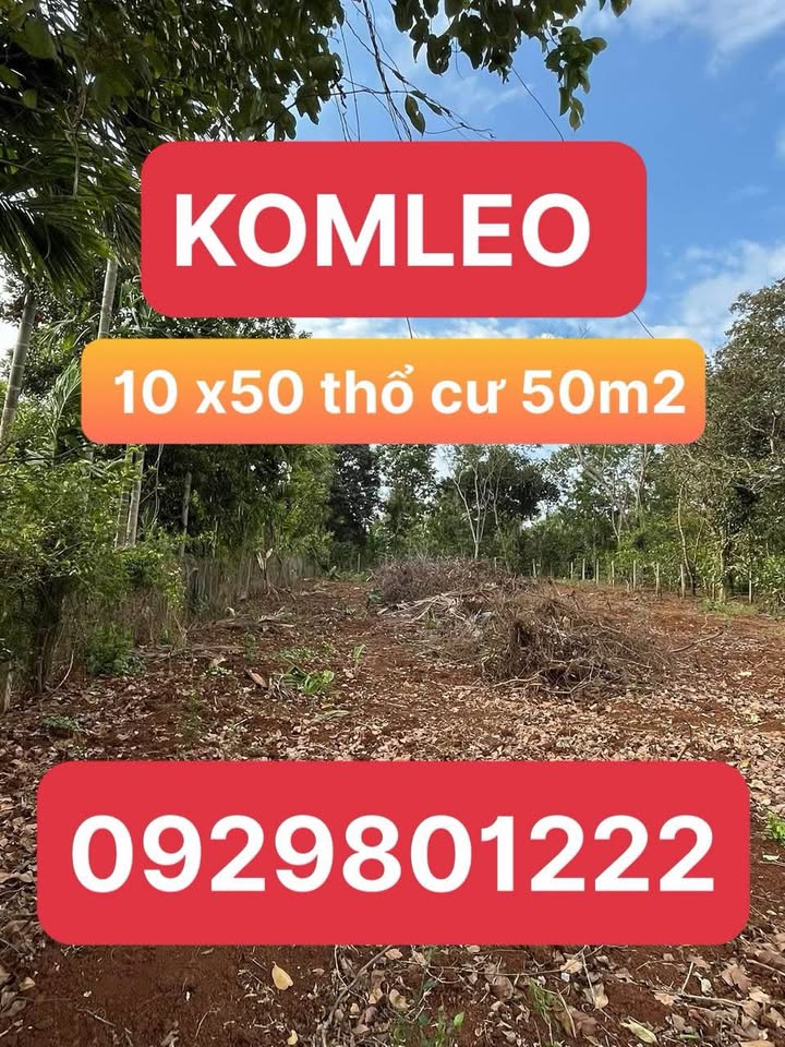 Đất nền 500m² Krông Búk, Đắk Lắk - Sổ đỏ sẵn sàng, đầu tư sinh lời