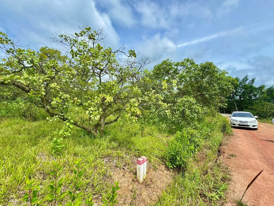 Đất 640m² Ea Kar, Đắk Lắk - Sổ Hồng Riêng, Đường Ô Tô