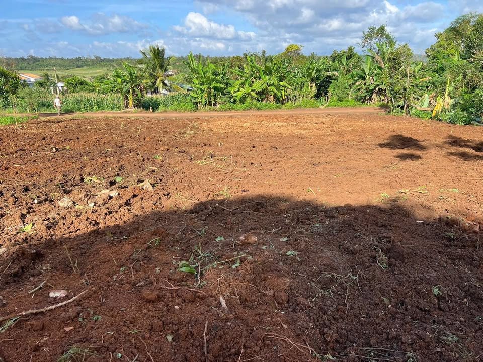 Bán Đất Ea Drong - Buôn Hồ 319m² Hướng Bắc - Sổ Đỏ Sẵn Sàng