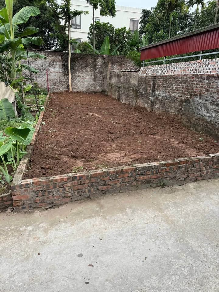 Đất thổ cư Thôn Thọ An 69m² 3 tỷ - Sổ đỏ chính chủ