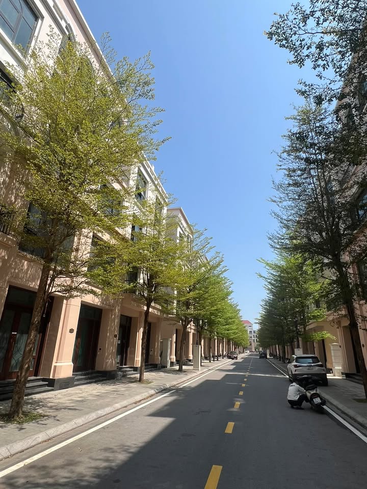 Shophouse Vinhomes Ocean Park 48m² 7,6 tỷ - Mặt tiền kinh doanh