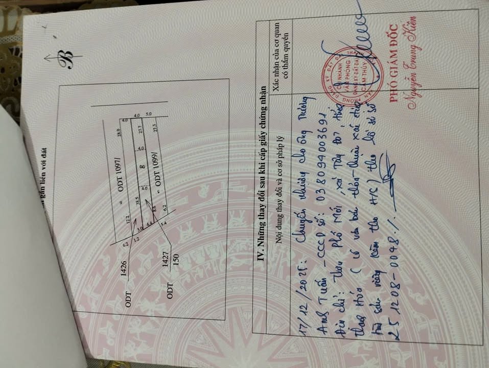 Bán Gấp 2 Lô Liền Kề 300m² Cẩm Thủy, Thanh Hóa - Sổ Hồng Sẵn Sàng