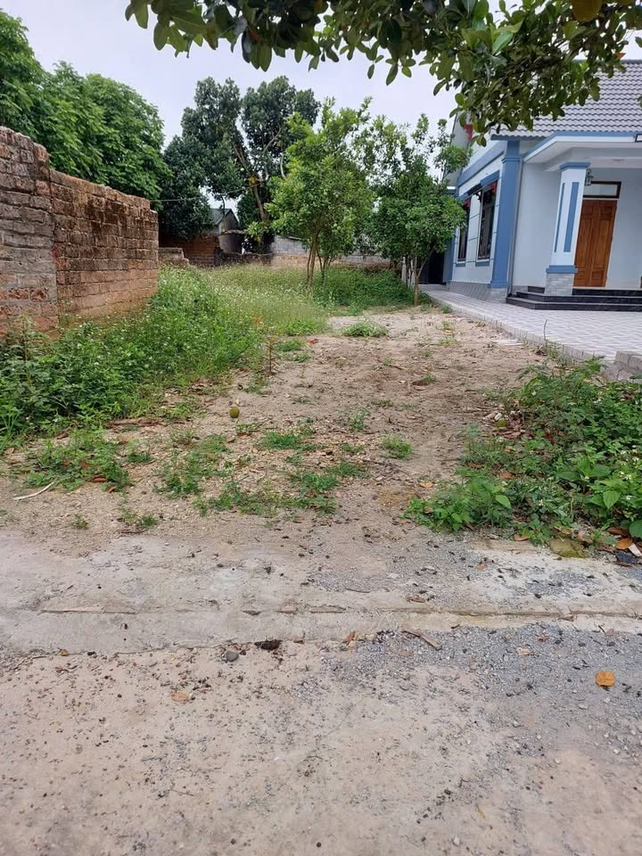 Đất nền Sơn Tây 339m² giá 3.39 tỷ - Tiềm năng tăng giá vượt trội