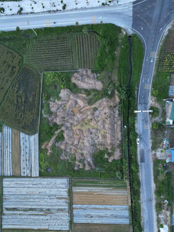 Đất Hoằng Thắng Hoằng Hóa 5.000m² - Sổ đỏ chính chủ