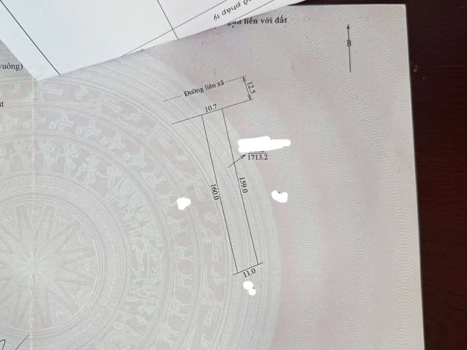 Đất Vườn Gia Lai 1600m² Mặt Tiền Đường Liên Xã Chư Sê - Giá Tốt Đầu Tư