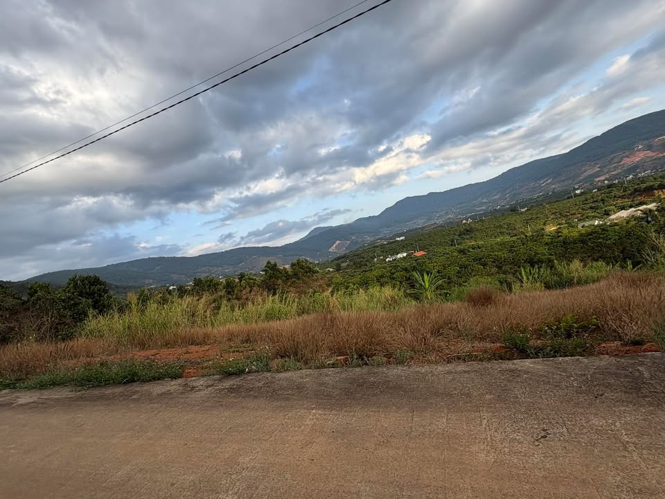 Đất nền 1000m² Đức Trọng - Lưng tựa đồi thông, giá chỉ 649 triệu