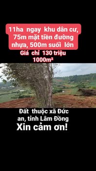 Đất Nền 10ha Đức An, Lâm Đồng - View Suối, Mặt Tiền Đường Nhựa, Giá Đầu Tư 14 Tỷ
