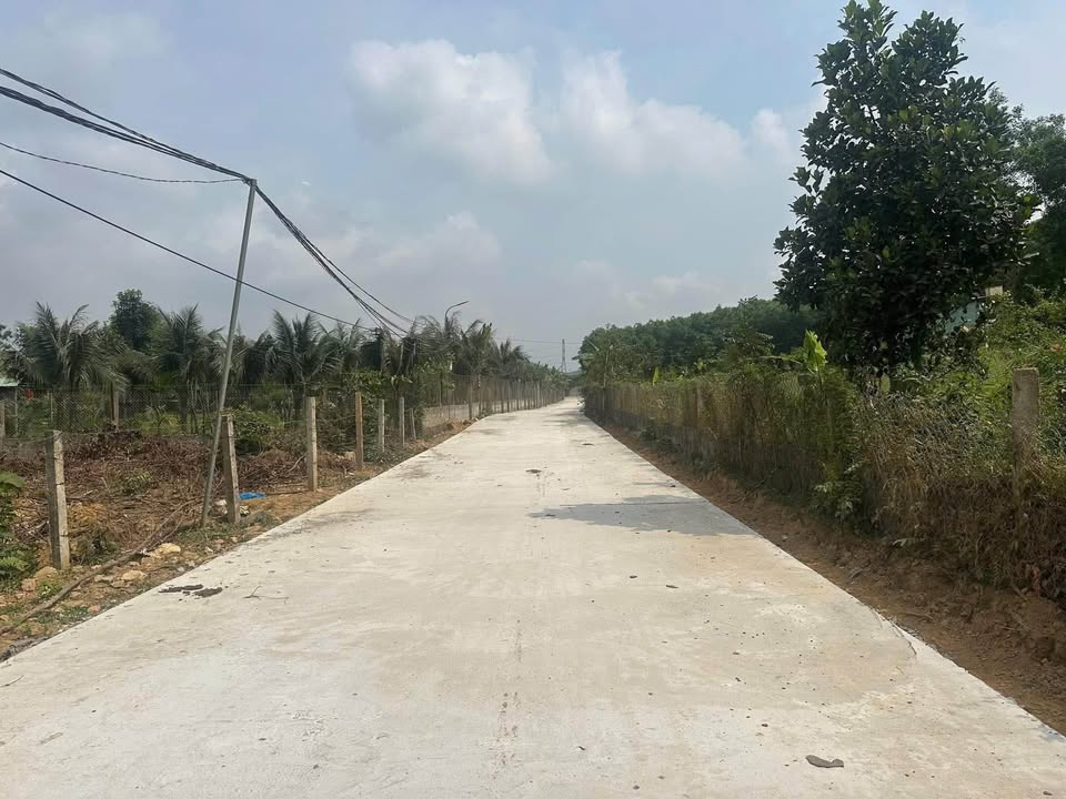 Bán Đất Vườn Hòa Ninh 7000m² - View Bà Nà Hills, Khí Hậu Mát Mẻ