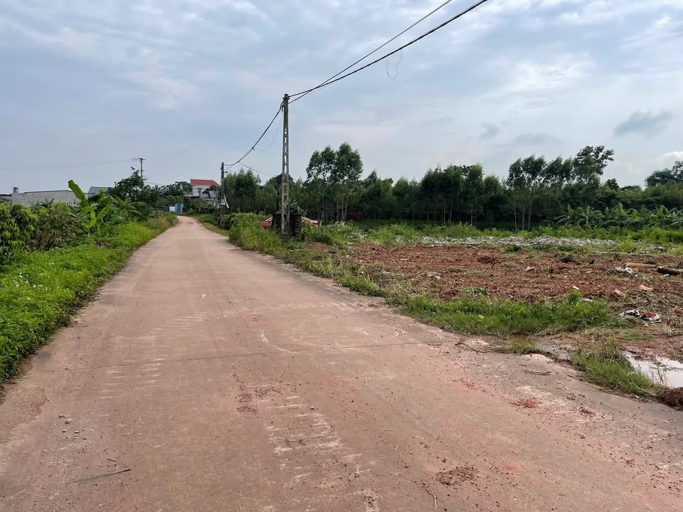 Đất nền Phúc Hòa Tân Yên 200m² 8xx triệu - Sổ đỏ chính chủ