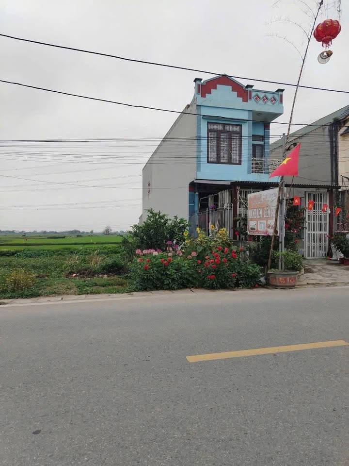 Đất Nền Mặt Đường Trục Huyện Vũ Thư - 100m² Sẵn Sàng Kinh Doanh