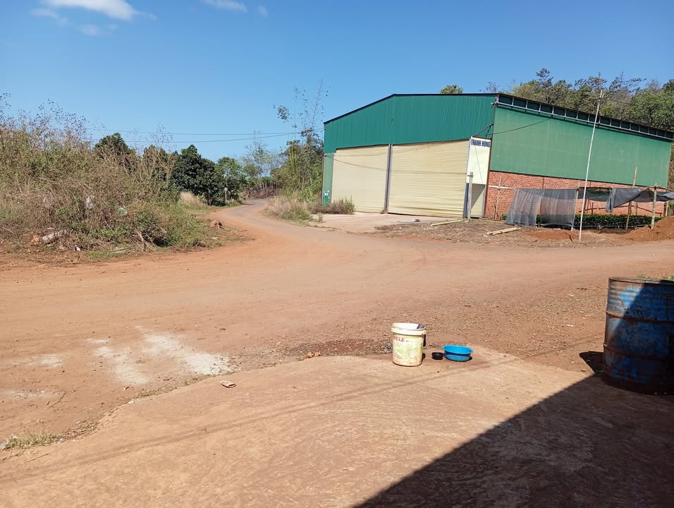 Đất nền Kiến Đức 1.809m² giá 1.5 tỷ - Đất thổ cư 100%