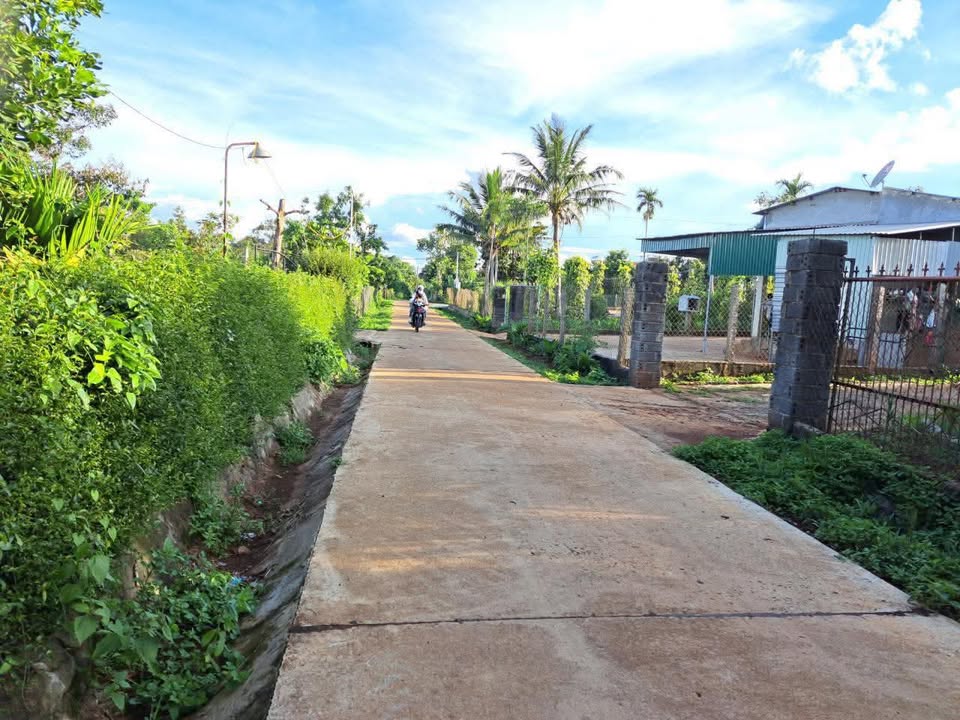 Đất nền Cư Dliê M'nông 572m² 29.172 tỷ - Sổ đỏ chính chủ