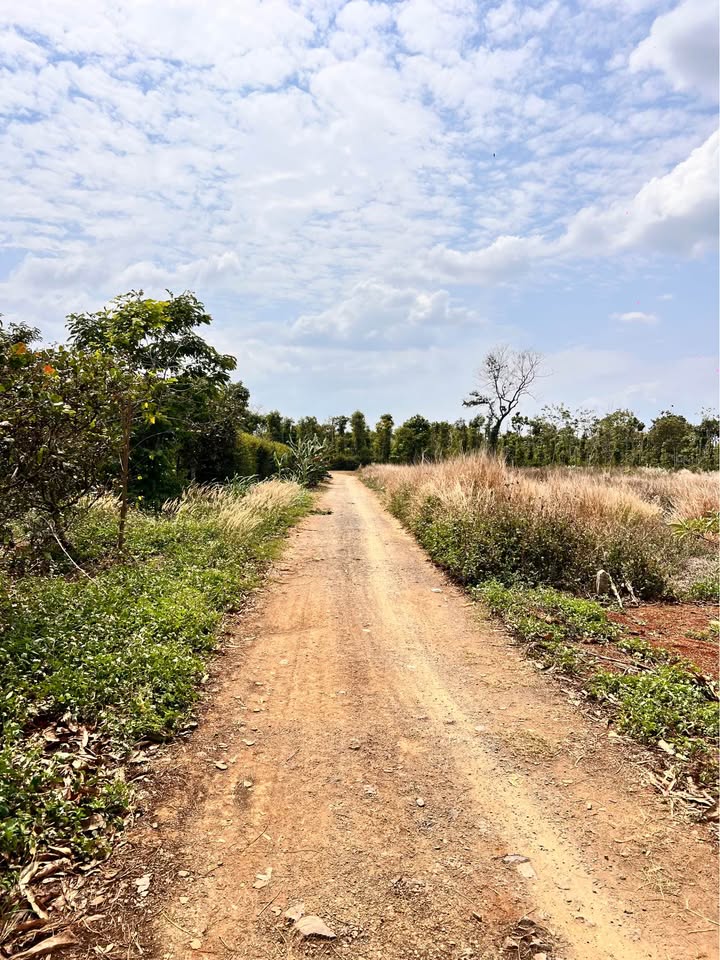 Đất Vườn 510m² Phường Thành Nhất, BMT - Sổ Sẵn Giá Tốt