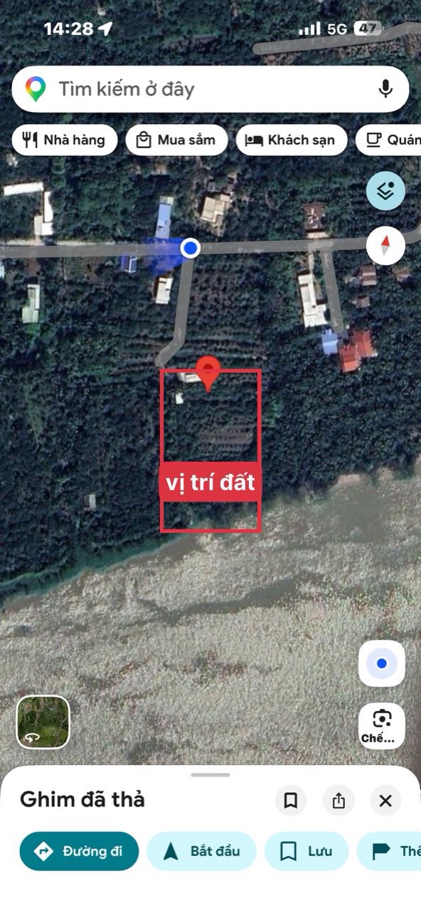 Bán Gấp Farm Nghỉ Dưỡng 5555m² view sông Tiền Giang - Chỉ 9.4 Tỷ