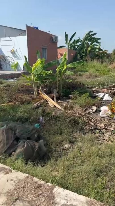 Đất nền Gò Công Đông 276m² 500 triệu - Đất thổ cư 100%