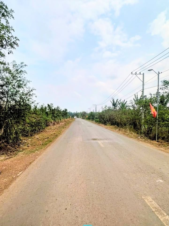 Đất Vườn Đồng Nai 1344m² Giá 390 Triệu - Lộc Phát Tại Tân Hiệp