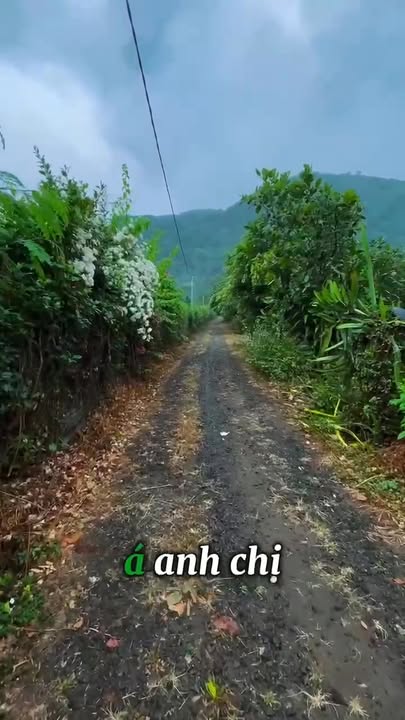 Bán Đất Xã Xuân Thọ, Đồng Nai - 2700m² View Núi, Sẵn 200m² Thổ Cư