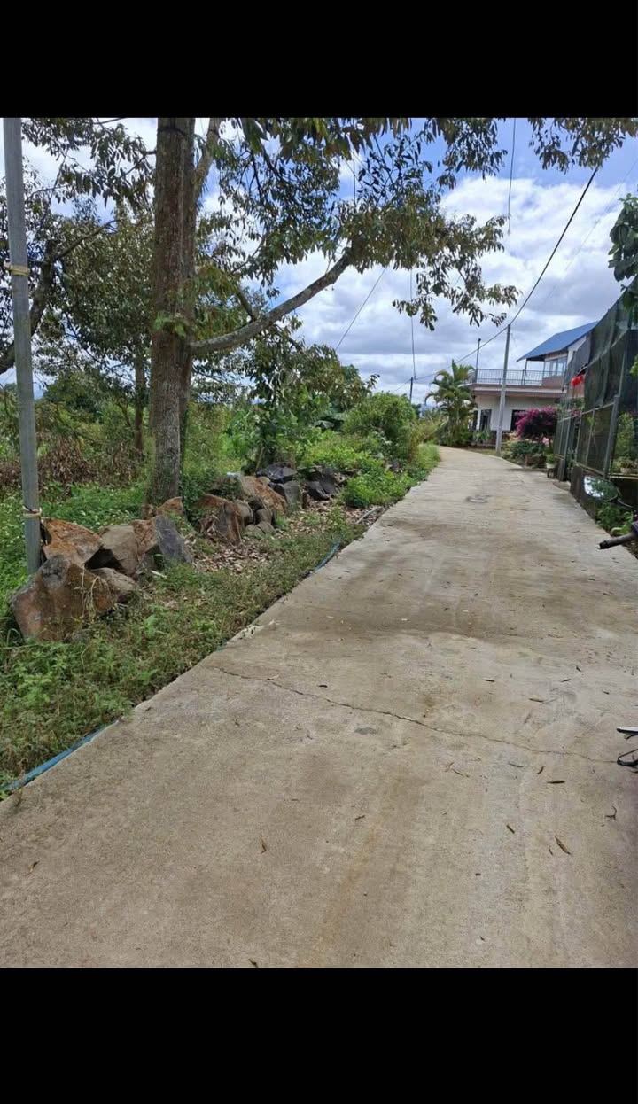 Bán Đất 1577m² Mặt Tiền 46m Đường Bê Tông, Tân Lạc, Lâm Đồng - 1.6 Tỷ