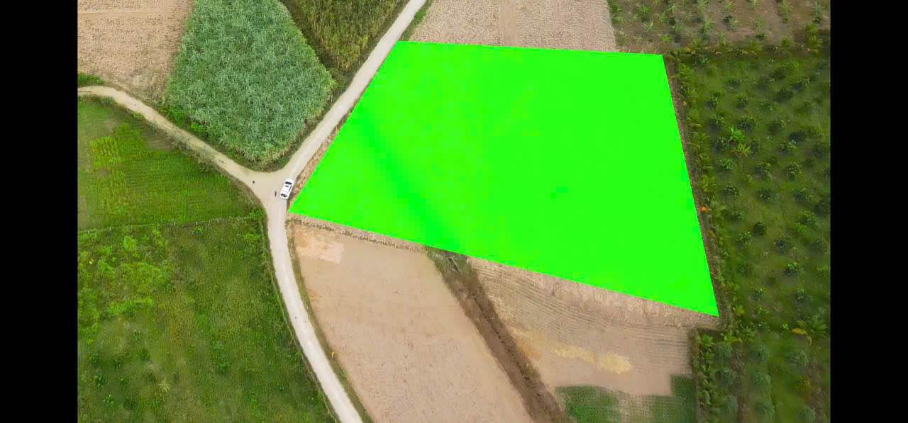 Bán Đất Vườn Ninh Thuận 4000m² - Bám Đường Bê Tông 50m - Giá Đầu Tư 2 Tỷ