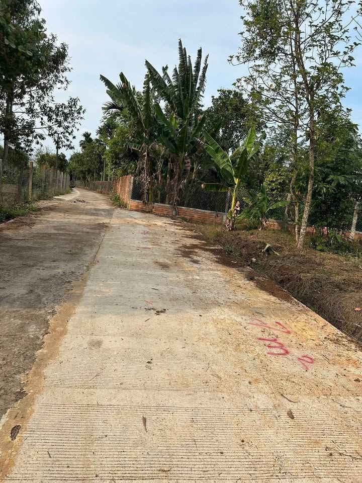 Đất vườn Đông Hòa 500m² 599 triệu - An yên tĩnh lặng