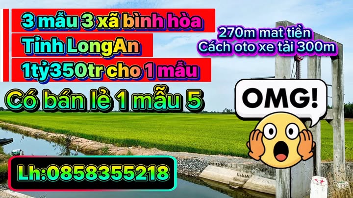Đất vườn Bắc Hòa 32.000m² 1.35 tỷ - Đầu tư dài hạn
