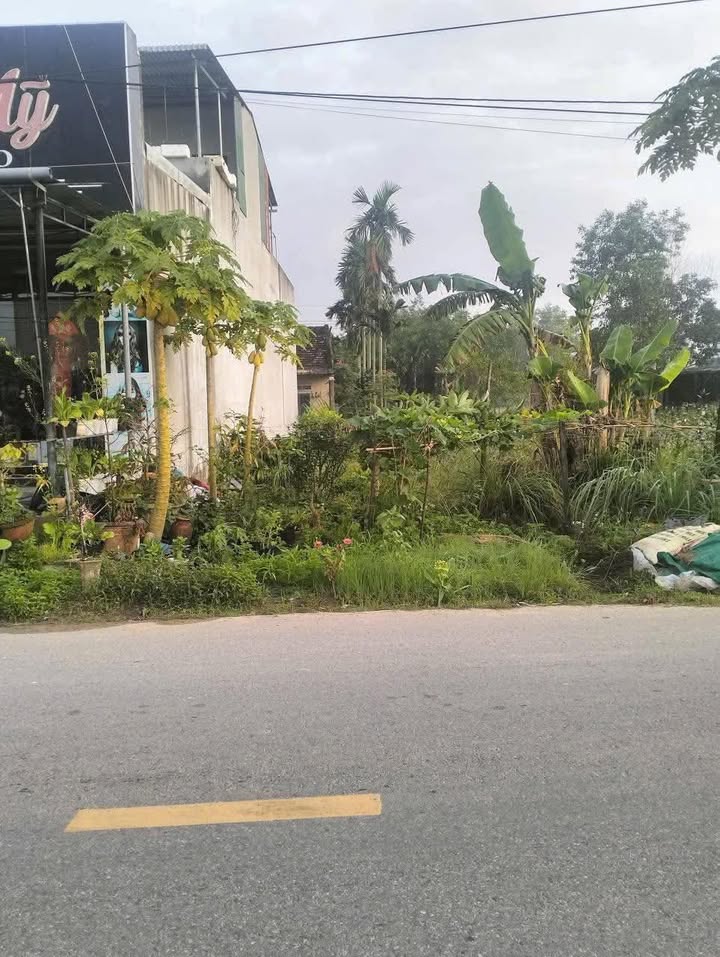 Đất Mặt Tiền Tỉnh Lộ 622C Sơn Tịnh 154m² - Sổ Hồng Sẵn Sàng